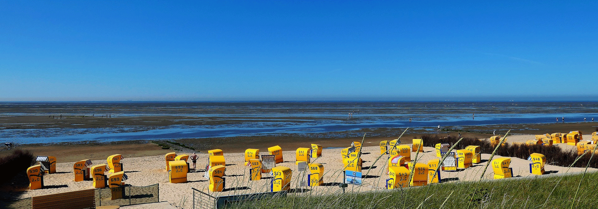 Gelbe Strandkörbe am Strand vom Wattenmeer der Nordsee